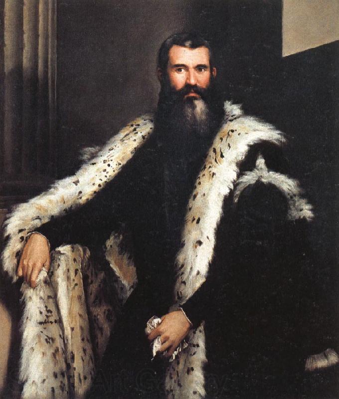 Paolo Veronese Portrait of a Gentleman in a Fur Spain oil painting art